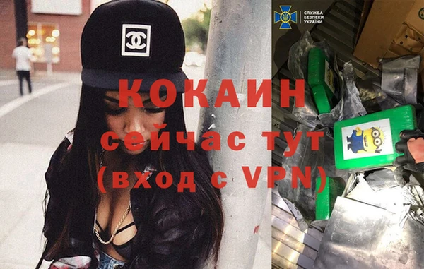 твердый Вязники