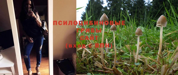 MDMA Premium VHQ Вяземский