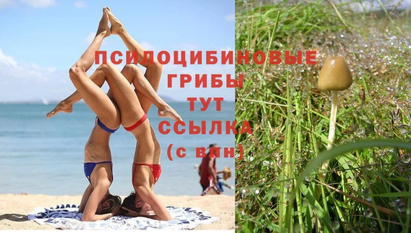 твердый Вязники