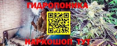 индика Волжский