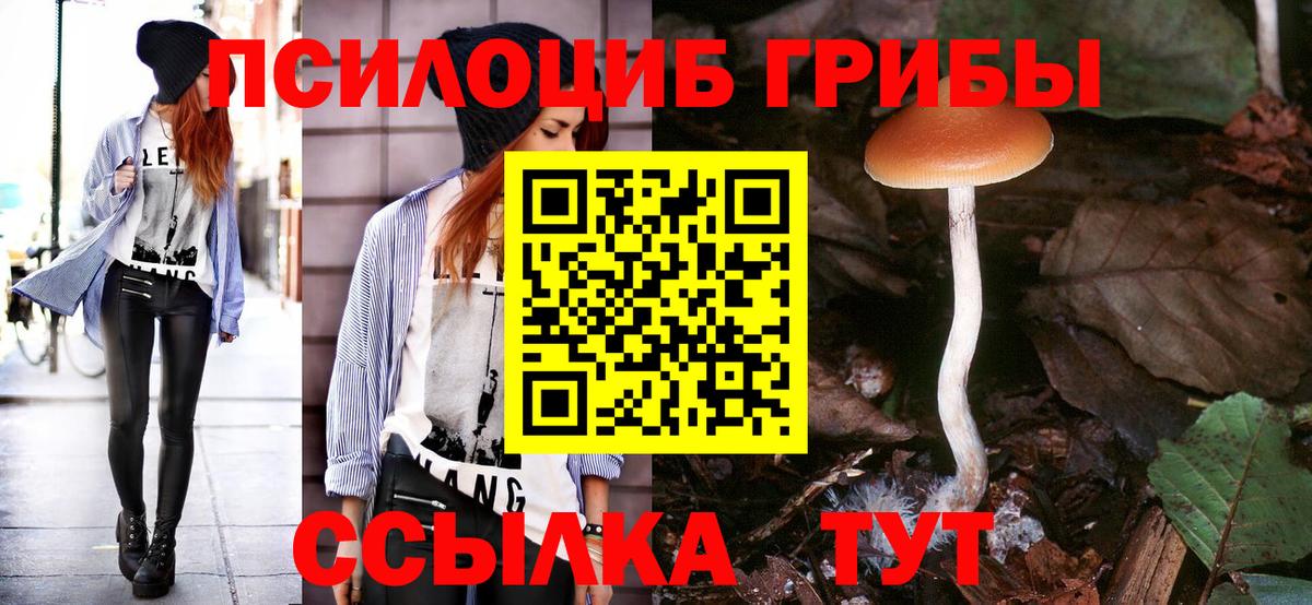 Псилоцибиновые грибы Magic Shrooms  что такое   Можайск  Псилоцибиновые грибы Psilocybine cubensis 
